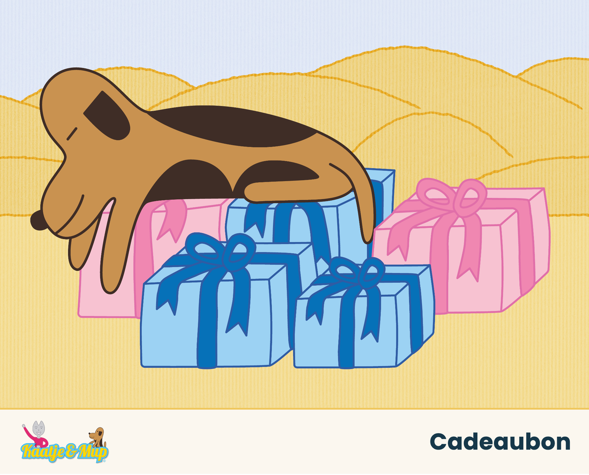 Mup ligt te slapen op een stapel cadeautjes in de duinen — Kaatje&Mup Cadeaubon